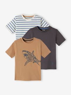 Lot de 3 T-shirts Basics garçon manches courtes -Lot de 3 T-shirts Basics garçon manches courtes