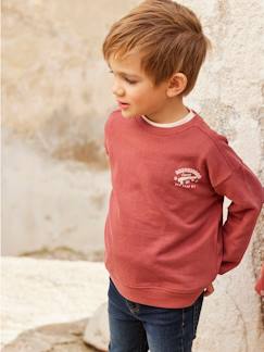 Sweat couleur motif poitrine Basics garçon -Sweat couleur motif poitrine Basics garçon