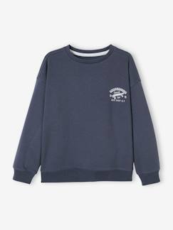 Sweat couleur motif poitrine Basics garçon -Sweat couleur motif poitrine Basics garçon