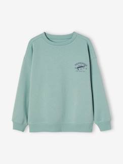Sweat couleur motif poitrine Basics garçon -Sweat couleur motif poitrine Basics garçon
