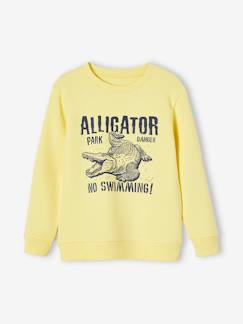 Sweat col rond imprimé garçon BASICS -Sweat col rond imprimé garçon BASICS
