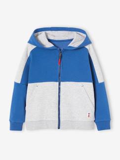 Sweat zippé à capuche effet colorblock sport garçon -Sweat zippé à capuche effet colorblock sport garçon