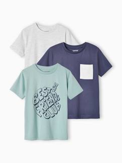 Lot de 3 T-shirts Basics garçon manches courtes -Lot de 3 T-shirts Basics garçon manches courtes