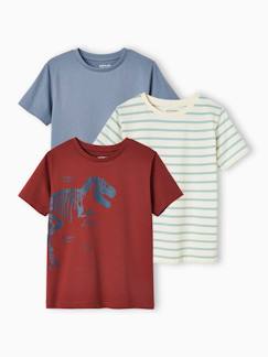 Lot de 3 T-shirts Basics garçon manches courtes -Lot de 3 T-shirts Basics garçon manches courtes