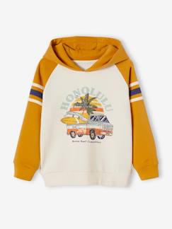 Sweat à capuche animations graphique garçon manches raglan -Sweat à capuche animations graphique garçon manches raglan