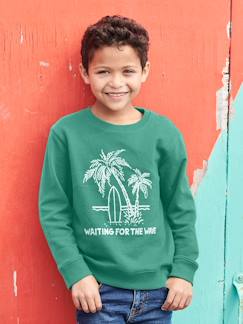 Sweat col rond imprimé garçon BASICS -Sweat col rond imprimé garçon BASICS