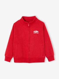 Sweat zippé garçon col camionneur
