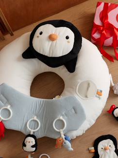 Baby Activity-Kissen