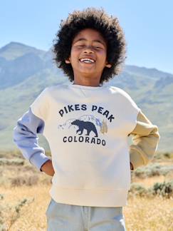 Sweat garçon col rond manches lo