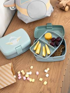 Babyartikel-Essen-Kinder Brotdose Tiny Outdoor LÄSSIG