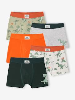 Garçon-Sous-vêtement-Lot 5 boxers dino