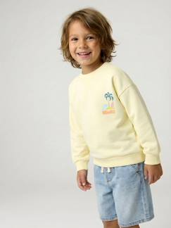 Garçon-Sweat col rond manches longues