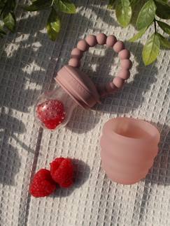 Babyartikel-Essen-Baby Probier-Schnuller PETIT TRUC