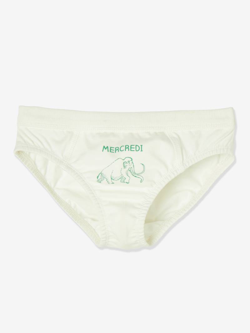 7erPack Jungen Slips, Dinos pack wochentage, Junge