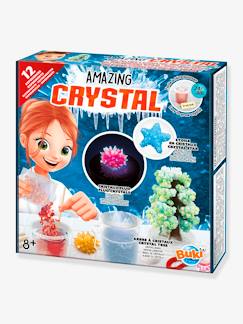 Spielzeug-Lernspiele-Wissenschaftsspiele und Multimedia-Experimentierkasten ,,Amazing Crystal" BUKI