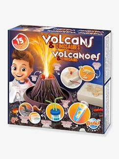 Les jeux éducatifs-Volcans et dinosaures BUKI