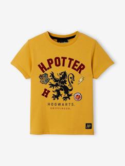-Jungen T-Shirt HARRY POTTER
