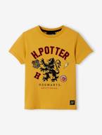 T-shirt garçon Harry Potter®