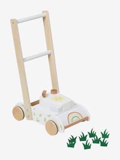 Spielzeug-Spiele für Draussen-Rasenmäher Holz FSC®