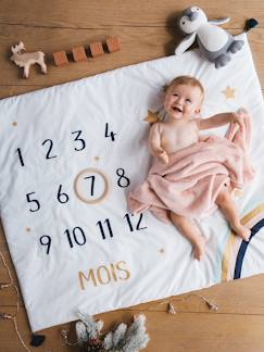 Spielzeug-Erstes Spielzeug-Baby Meilenstein-Decke, Fotohintergrund