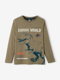 Garçon-T-shirt, polo, sous-pull-T-shirt-T-shirt manches longues garçon Jurassic World®