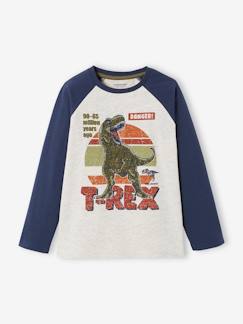 Garçon-T-shirt, polo, sous-pull-T-shirt-T-shirt motif graphique garçon manches raglan colorées Oeko-Tex®