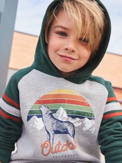 Junge-Jungen Kapuzensweatshirt, Kontrastärmel
