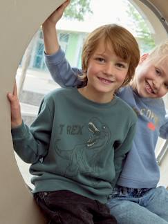 Junge-Pullover, Strickjacke, Sweatshirt-Jungen Sweatshirt, XL-Print