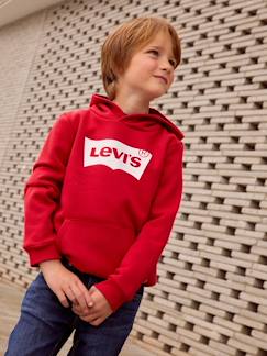 Junge-Pullover, Strickjacke, Sweatshirt-Jungen-Kapuzen-Sweatshirt Levi's®