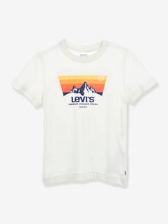 -T-shirt garçon Mountain Batwing de Levi's®