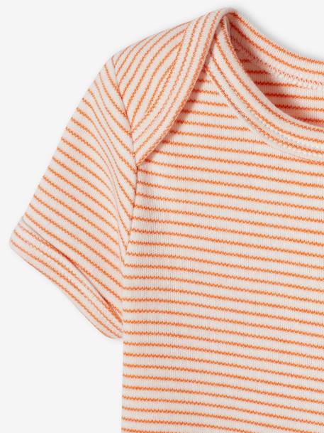 Lot de 5 bodies 'sunshine' bébé manches courtes aqua 