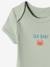 Lot de 3 bodies 'plage' bébé emmanchure américaine aqua 