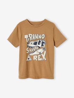 Garçon-T-shirt, polo, sous-pull-T-shirt dinosaure garçon