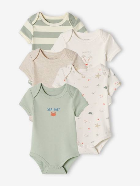 Lot de 3 bodies 'plage' bébé emmanchure américaine aqua 