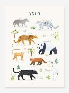 Linge de maison et décoration-Affiche Animaux d'Asie Living Earth LILIPINSO