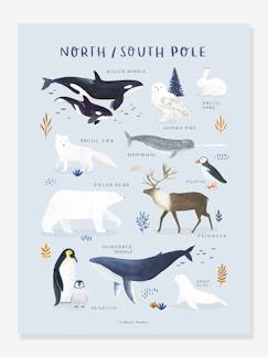 -Kinderzimmer Poster „Living Earth“ Nordpol/Südpol LILIPINSO