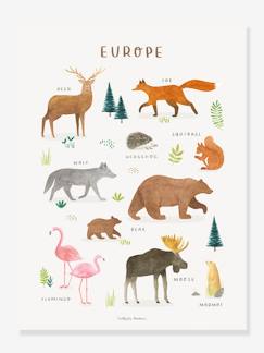 Linge de maison et décoration-Décoration-Cadre, affiche, pêle-mêle-Affiche Animaux d'Europe Living Earth LILIPINSO