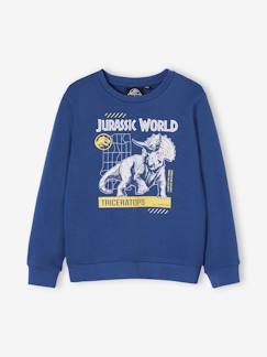 Junge-Pullover, Strickjacke, Sweatshirt-Sweatshirt-Jungen Sweatshirt JURASSIC WORLD