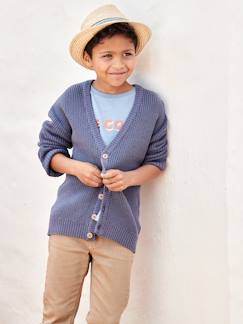Junge-Pullover, Strickjacke, Sweatshirt-Jungen Strickjacke mit V-Ausschnitt Oeko-Tex