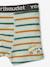 Lot de 3 boxers stretch 'tractopelle' garçon vert sauge 