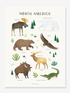 Linge de maison et décoration-Affiche Animaux d'Amérique du Nord Living Earth LILIPINSO