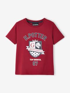 Junge-T-Shirt, Poloshirt, Unterziehpulli-Jungen T-Shirt HARRY POTTER