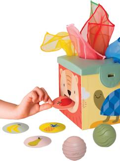 Spielzeug-Erstes Spielzeug-Erstes Lernspielzeug-Magische Spielbox TAF TOYS