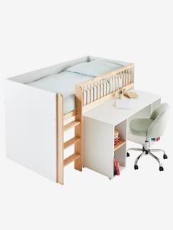 Zimmer und Aufbewahrung-Zimmer-Kinderbett, Babybett-Kinderzimmer Kombi-Hochbett  „Gecko“