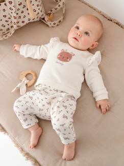 Baby-Set-Baby-Set: Sweatshirt & Hose