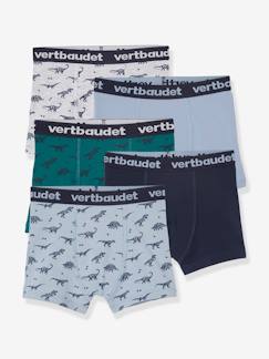 Junge-5er-Pack Jungen Boxershorts, Dinosaurier