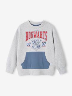 Junge-Pullover, Strickjacke, Sweatshirt-Sweatshirt-Jungen Sweatshirt HARRY POTTER