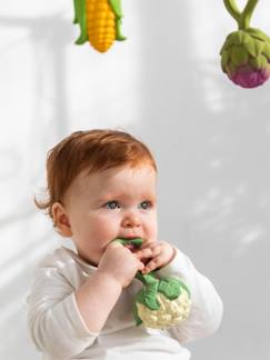 Spielzeug-Baby Rassel mit Beissring Blumenkohl OLI & CAROL