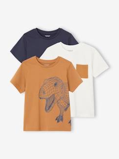 Garçon-T-shirt, polo, sous-pull-T-shirt-Lot de 3 t-shirts garçon manches courtes