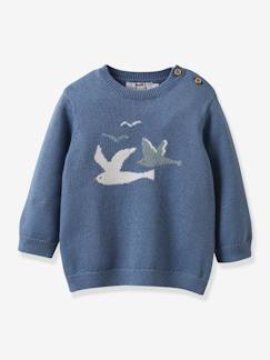 Baby-Pullover, Strickjacke, Sweatshirt-Pullover-Baby Pullover CYRILLUS, Bio-Baumwolle/Wolle